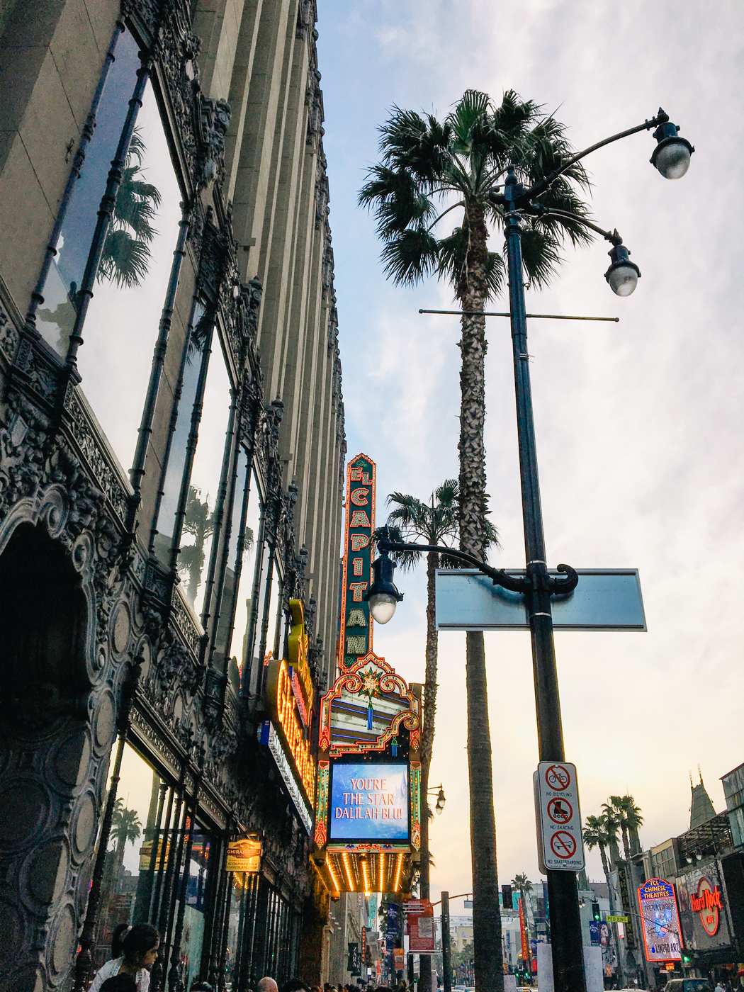 Hollywood Blvd - Debora Dahl