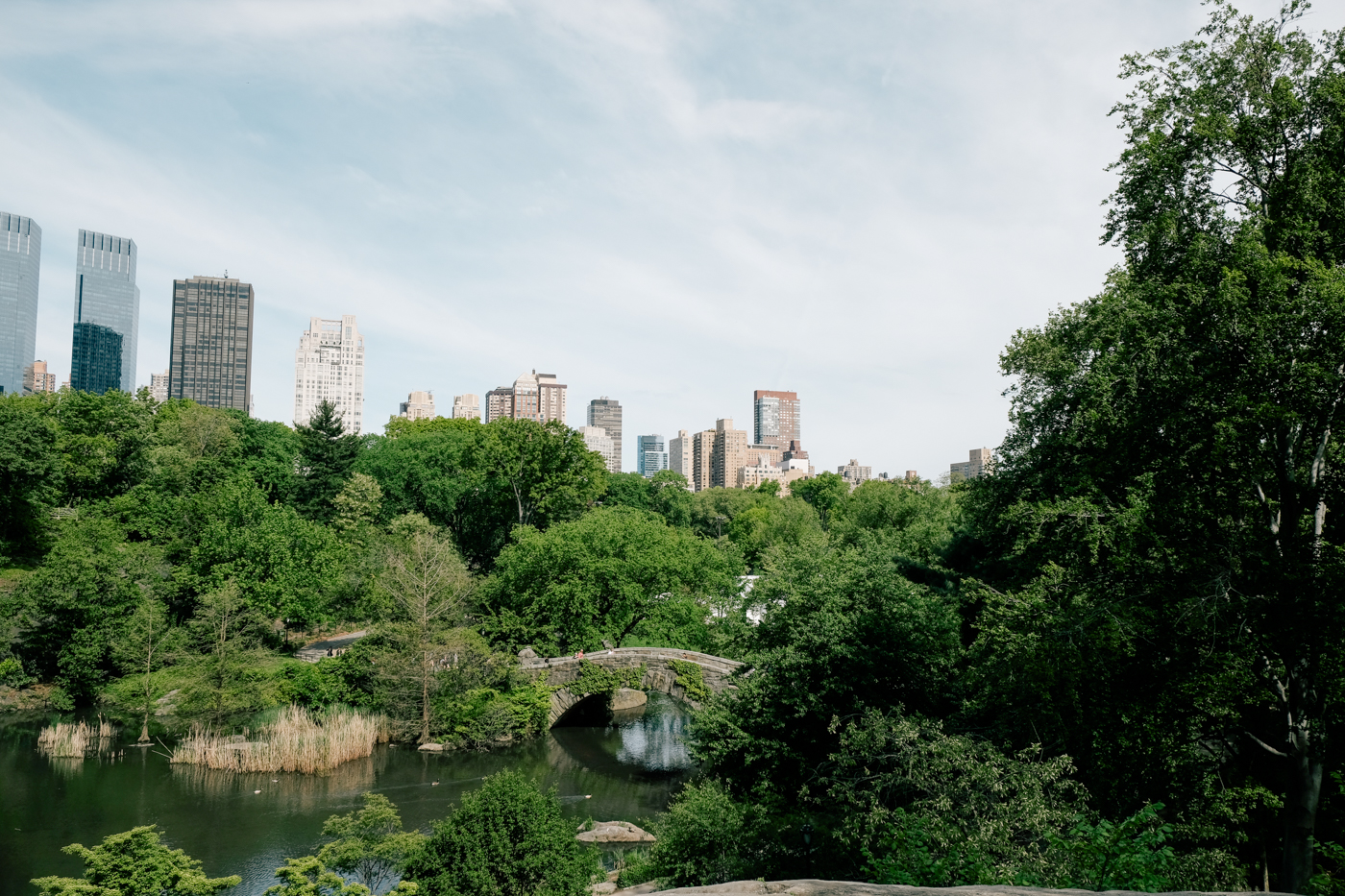 What to do in Central Park? - Debora Dahl