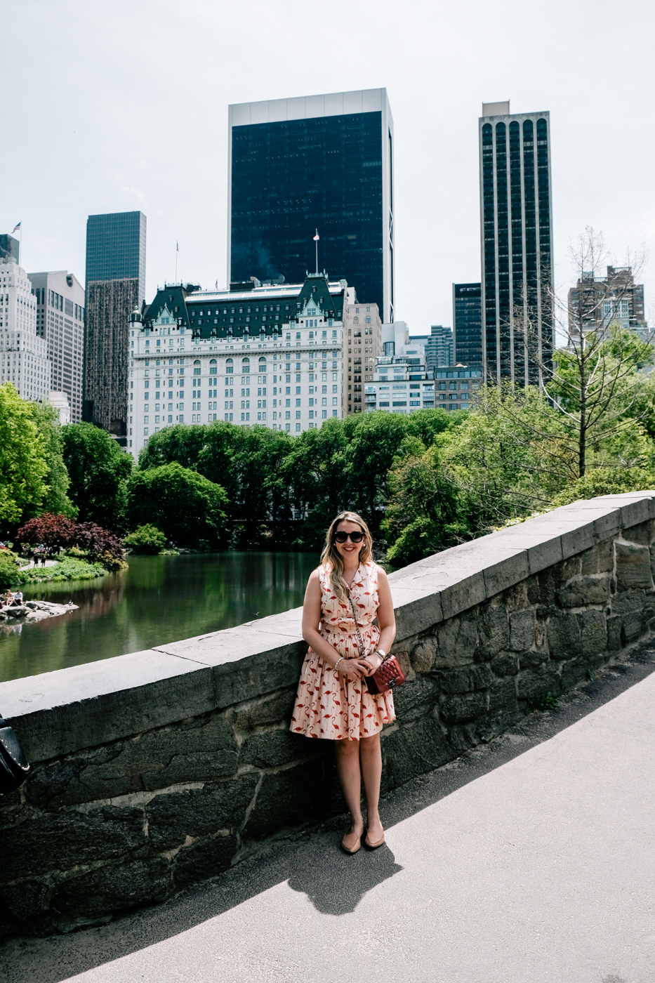 O que fazer no Central Park? Debora Dahl