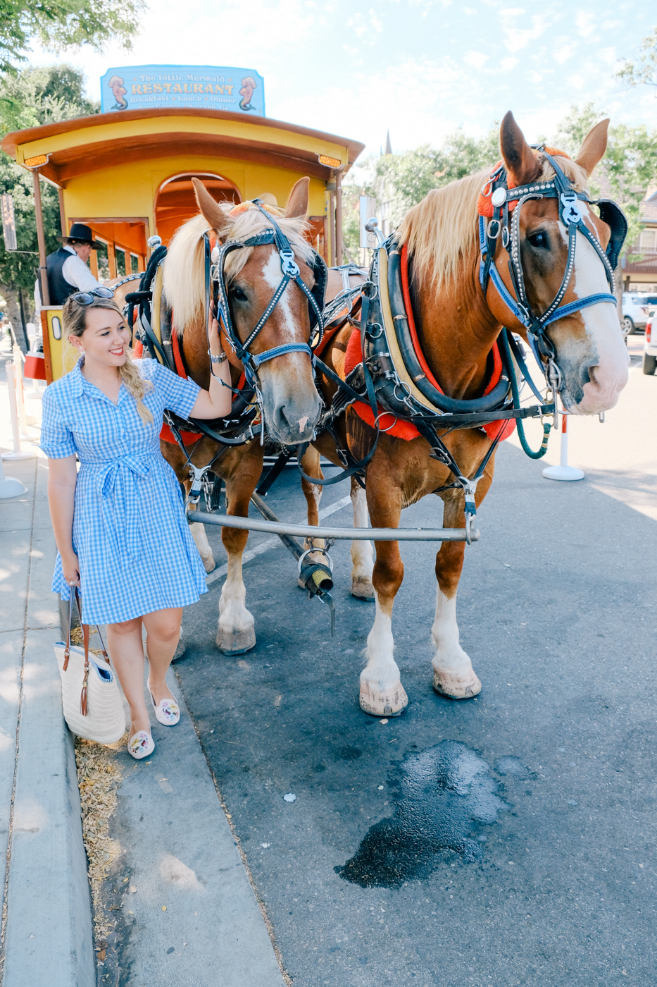 Debora Dahl - Trolley-horse ride, solvang