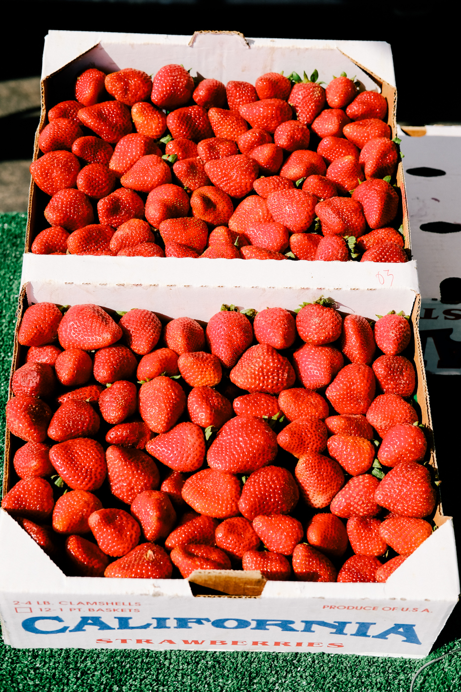 Strawberries, morango organico