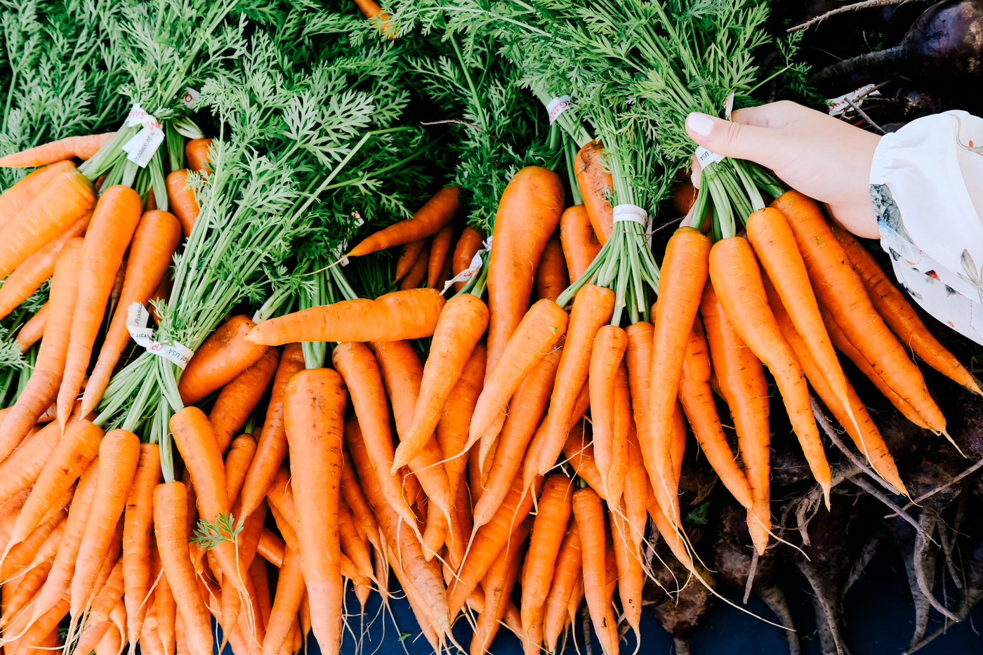 Organic carrots