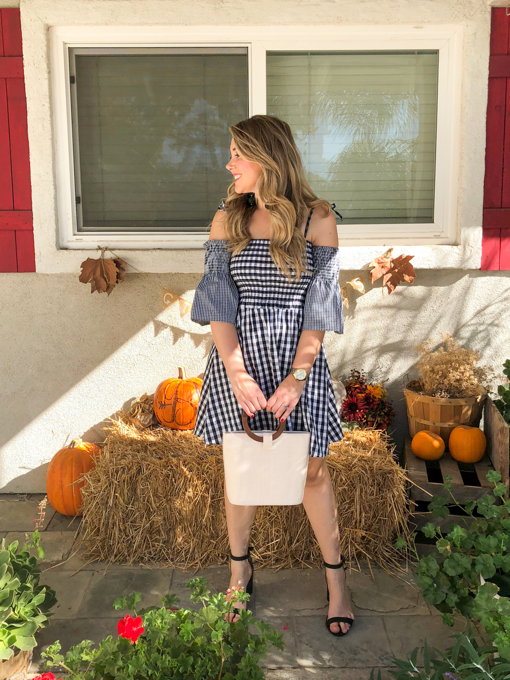 Debora Dahl, gingham dress, plaid dress, fall in california