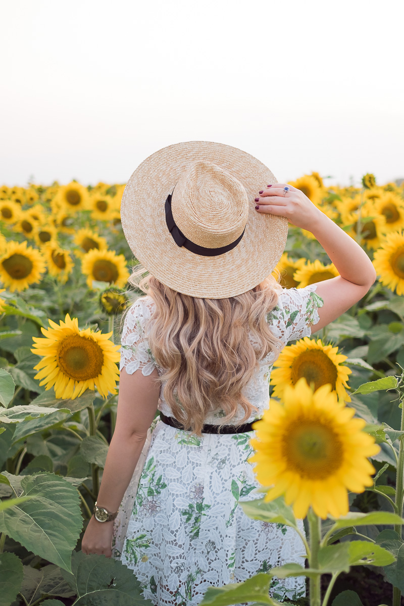 Instagram Sunflower Field Photoshoot Outfit