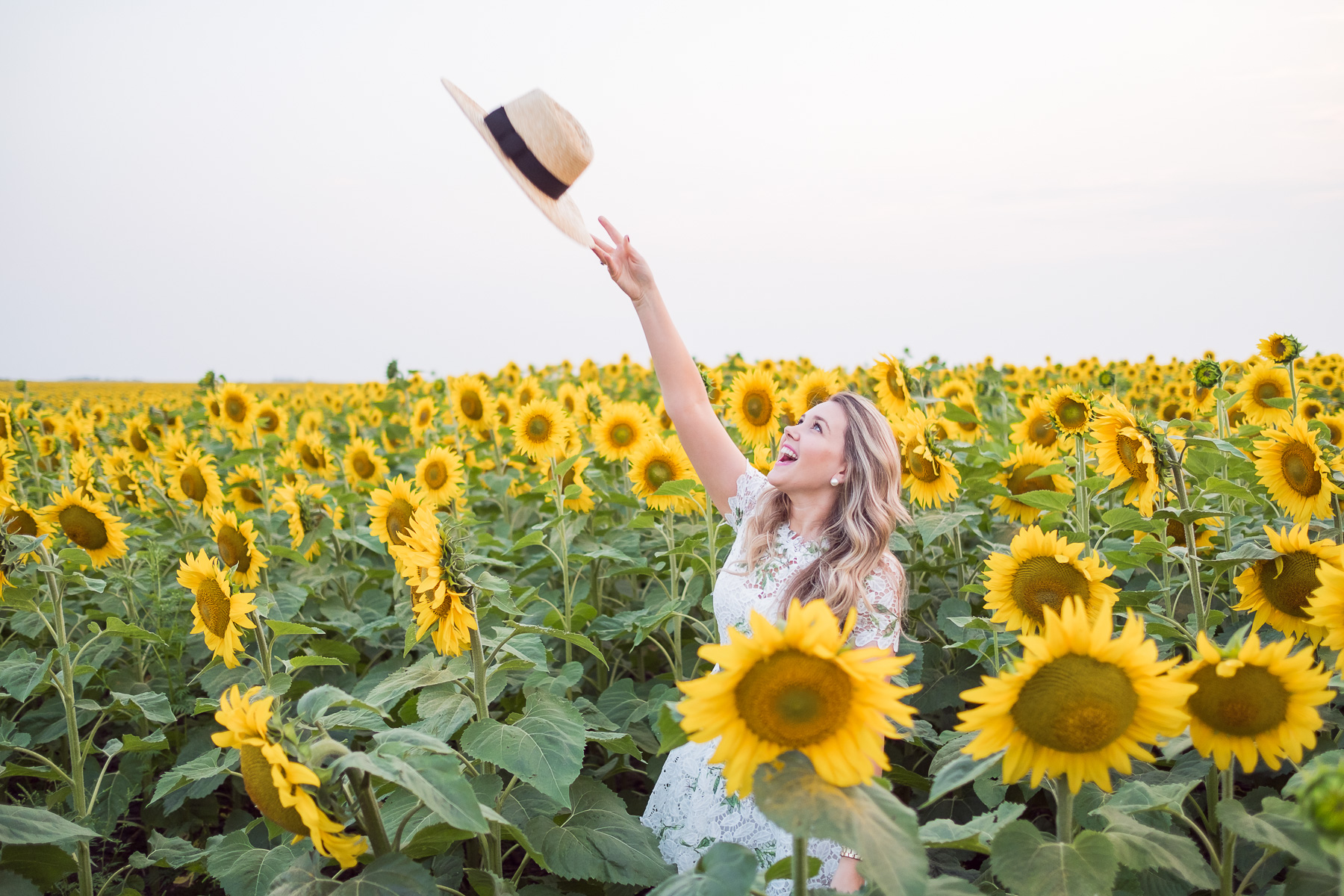 Living in a Dream of Sunflower Fields - Debora Dahl